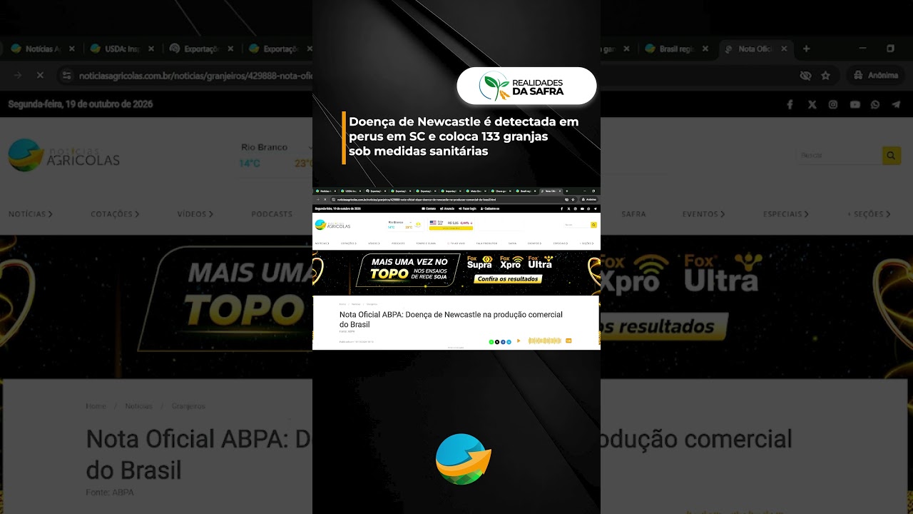 Doença de Newcastle é detectada em perus em SC e coloca 133 granjas sob medidas sanitárias