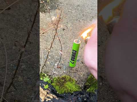 Shooting Cobra Firecrackers 🥵 #shorts #firecracker #cobra