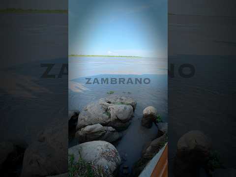 Zambrano bolívar #zambrano  #zambranobolivar