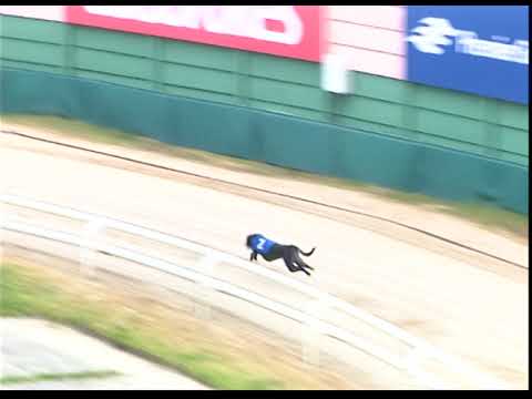 Saturday 4th February 2023 Trial 2 - Comeragh Penny