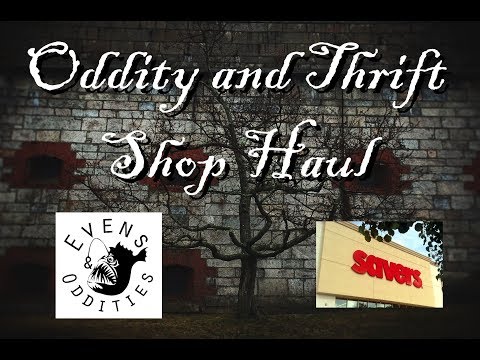 Oddity and Thrift Shop Hauls
