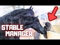 Reintje And 3 Daughters First Time Lunging With A Bridle I Got Mad At Belle Friesian Horses
