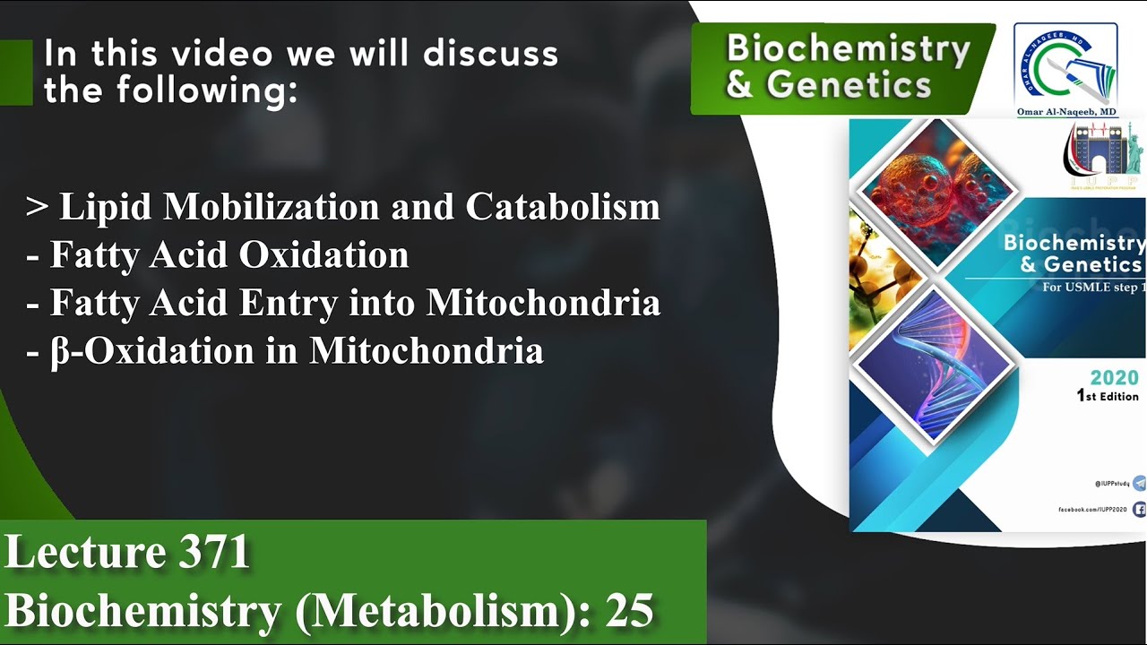 Lipid Mobilization and Catabolism