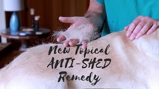 Stop Dog Shedding With New Anti-Shed Remedy