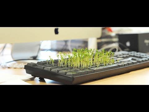 Top 6 Summer Work Fragrances 2014