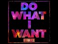 Kid Cudi Do What I Want Clean Version