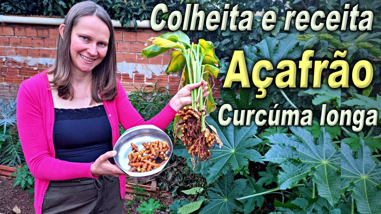 This Plant Has Many Health Benefits 🌱💚