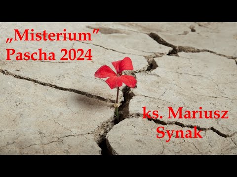 Wideo