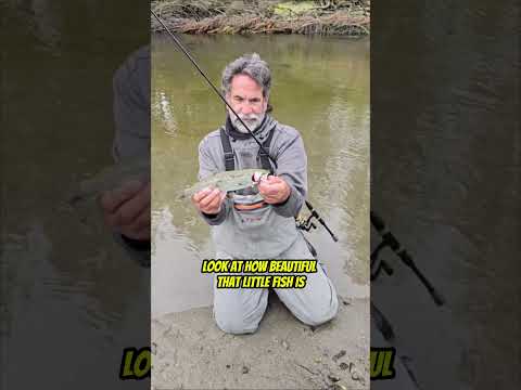 The proper way to release!