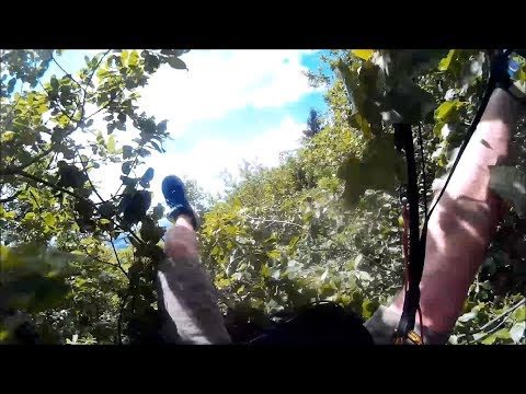video 3