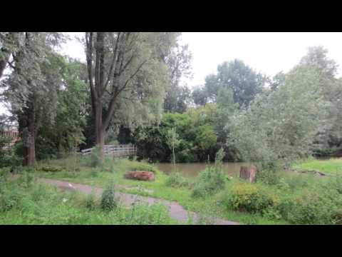 Heer, wat een voorrecht (JdH 983) / Samen werken (Opwekking 249)