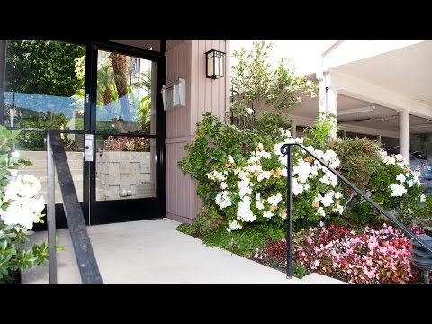 The Parkway - 1675 Manning Avenue, Los Angeles, CA 90024