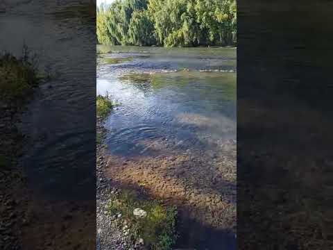 Allen dep General Roca, provincia de Río Negro, Argentina.