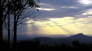 ♫  The Tree, the Beach, the Sea