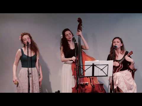 Amelie Acoustic Trio - Happy (Pharrell Williams cover)