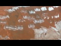 Hot Desert Song