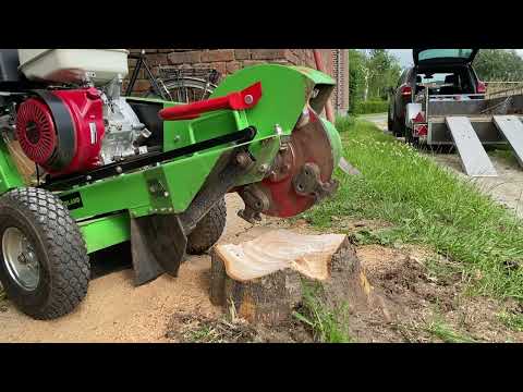 Laski Stump Cutter - Chopping a 25 y/o Ash tree stump [Satisfying].