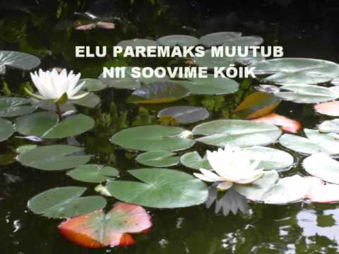 ARMIN - ET OLEKS MEIL LOOTUS