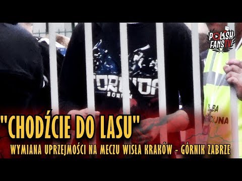 "CHODŹCIE DO LASU" - wymiana uprzejmości na meczu Wisła Kraków - Górnik Zabrze (25.08.2018 r.)