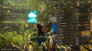[MHWilds]自分記録用290