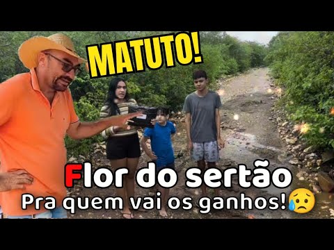 CANAL FLOR DO SERTÃO 🌵 PRA QUEM VAI OS GANHOS? 😱 SERTÃO MAMOEIRO 🌵