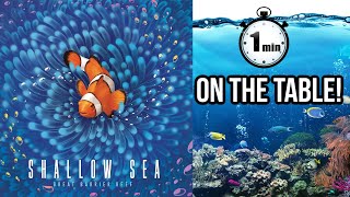 Shallow Sea on the Table!