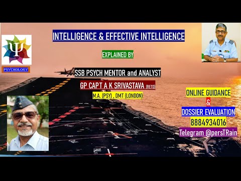 Effektive Intelligenz, Teil 1. Erklärt mit Beispielen. Hilft beim Umgang mit SSBs und psychologis...