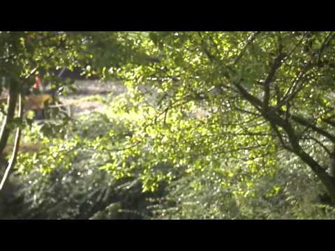 MongoTV_041 - Tirsdagshilsen