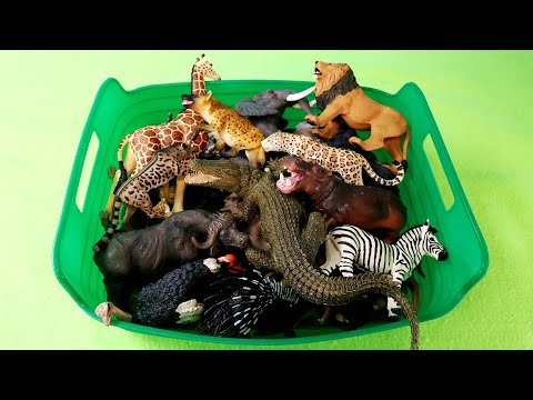 African Animal Figurines - Learn Animal Names and Fun Facts