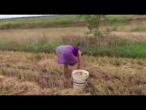 APACHE13 - LEUMOH ANEUK MUDA