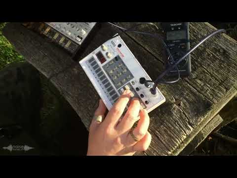 Synth live jam with Korg Volca Bass, Volca Sample.