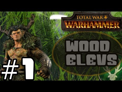 THE KING OF THE WOOD! Total War: Warhammer - Wood Elves Campaign #1
