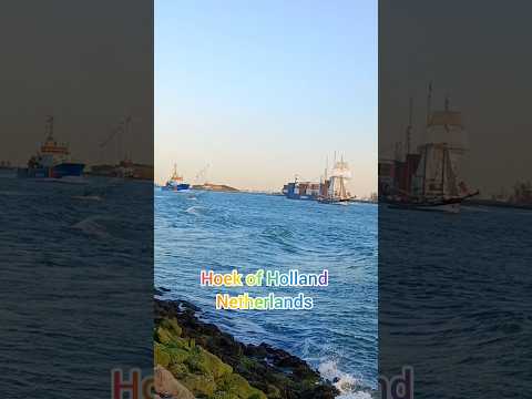 Thumbnail for Enjoying the beautiful seaview of Hoek of Holland, Netherlands#virals#trending#asmr#rotterdam