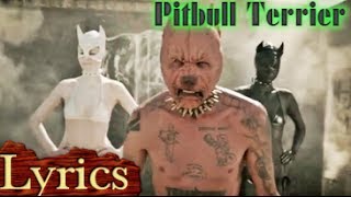 Pitbull Terrier  (Lyrics) - Die Antwoord   - LYRIC VIDEO - LYRICS