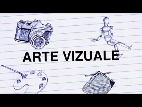 Colegiul National De Arta Octav Bancila Iasi