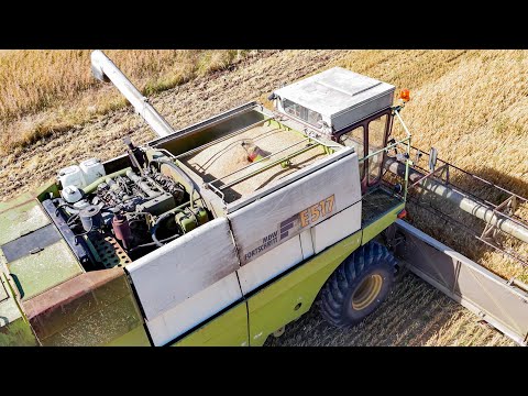 Wintergerste 2025 | Fortschritt E517 bei der Wintergerstenernte 2025