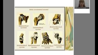 Биология. Опорно-двигательный аппарат. Лектор Кубарева М.В.