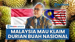 Malaysia Mau Klaim Durian Jadi Buah Nasional, Menko Zulhas: Data Bicara Indonesia Jauh Lebih Unggul