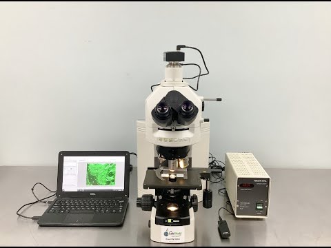 Fluorescence Microscopy | Vibepedia