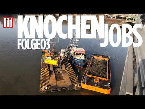Knochenjobs: Baumpfleger – In Flora und Fauna | Folge 3 | Doku