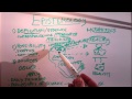 Thumbnail for &quot;epistemology applied: philosophy of science&quot;