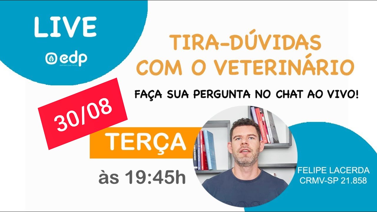 Watch Now 76 | FALE COM O VETERINÁRIO - Live gratuita para você perguntar tudo sobre seu cachorro ou gato! 76 | FALE COM O VETERINÁRIO - Live gratuita para você perguntar tudo sobre seu cachorro ou gato!