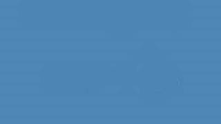 Bouncing Souls - Night Train