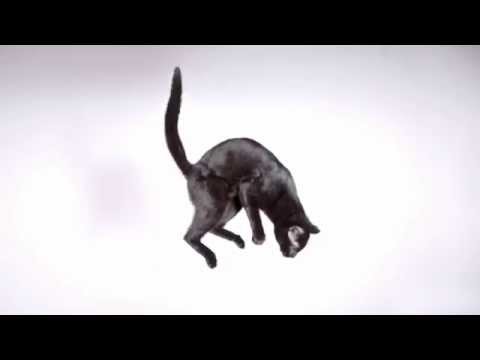 Gravity Rush Remastered PS4 | Tokyo Game Show 2015