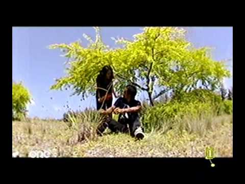 Maazee - ahmed asim - Heyanboa (17 sep 2010) mnbc-502