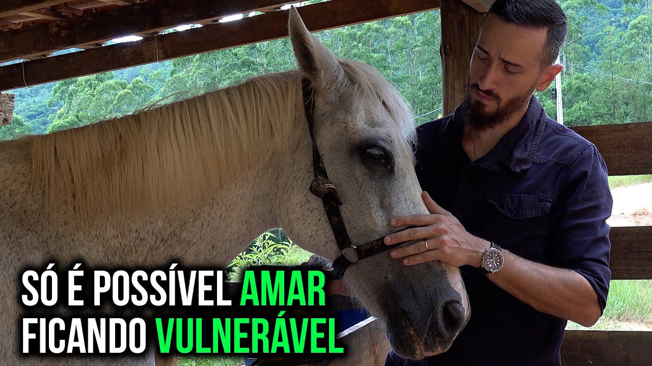 Um papo sobre cavalos e casamentos...