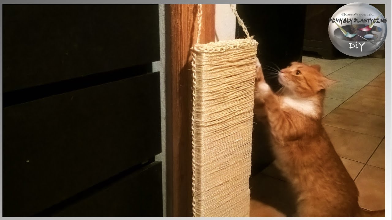 Watch Jak zrobić drapak dla kota - Pomysły Plastyczne DiY now Jak zrobić drapak dla kota - Pomysły Plastyczne DiY