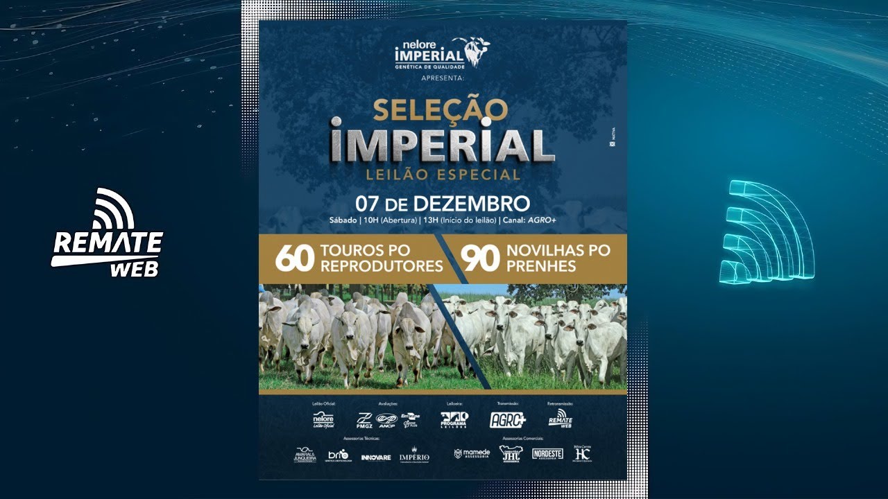 Canalleiloes.com |  🔝 LEILÃO ESPECIAL  SELEÇÃO NELORE IMPERIAL