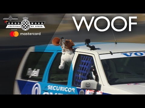 Puppy love in a Volvo 850 Estate at FOS