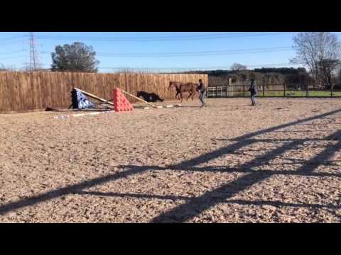 Corofino x Burggraaf